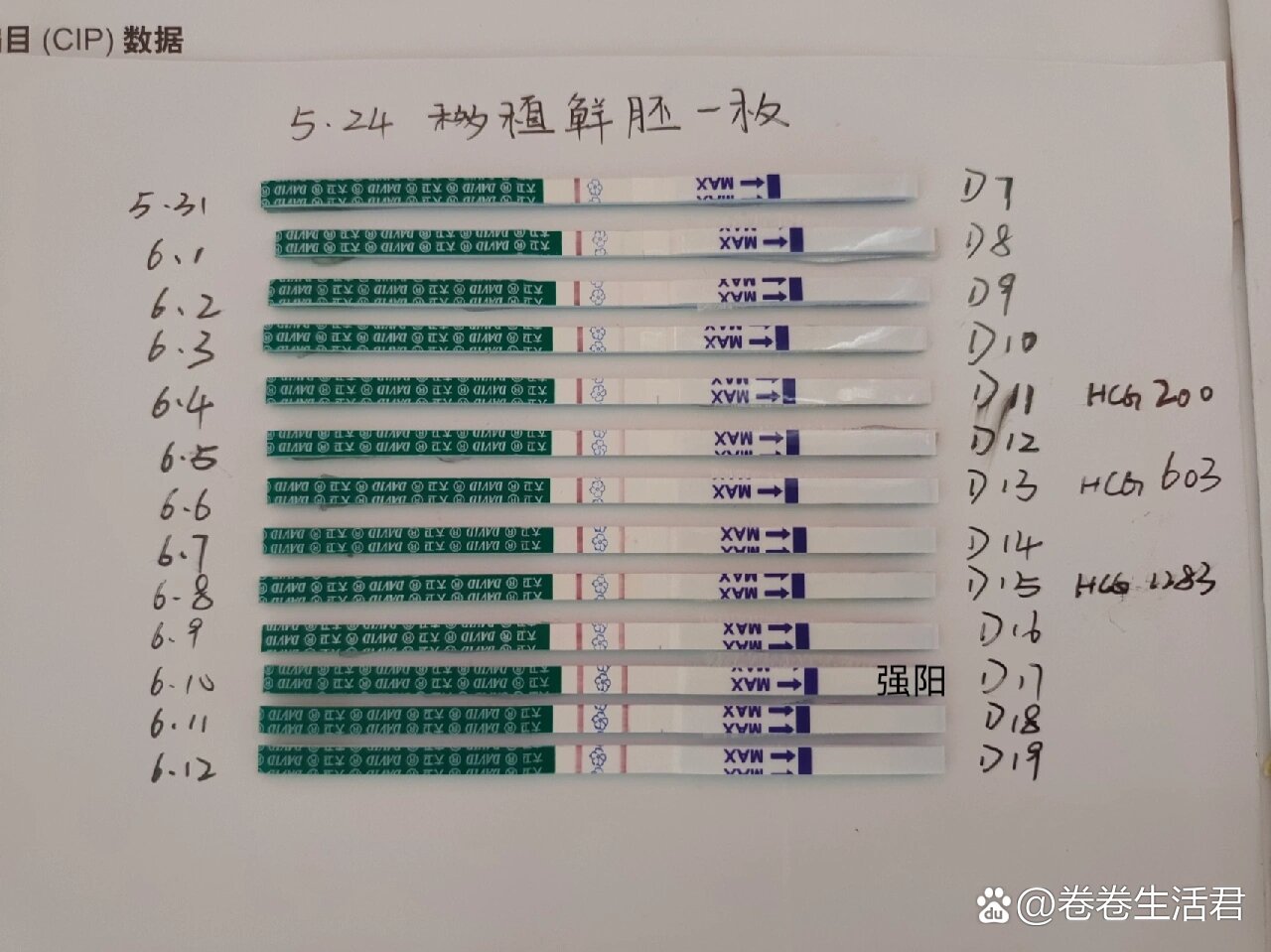 移植后试纸变化图图片