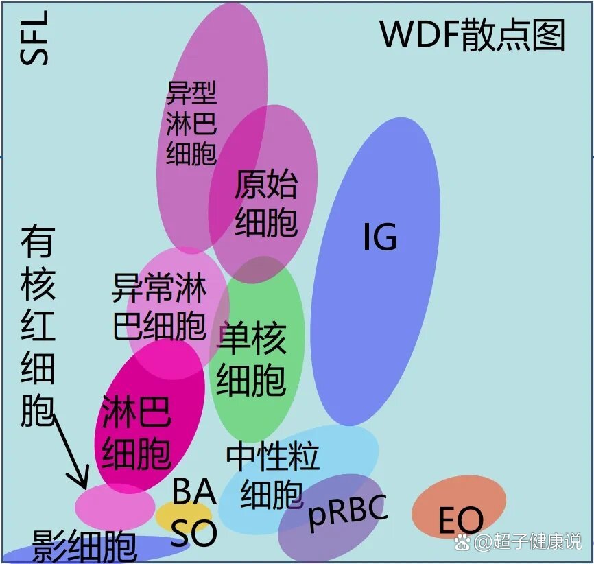 血常规散点图图片