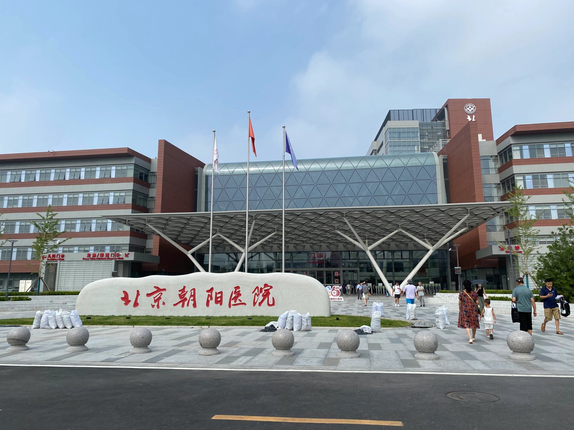 关于朝阳医院全程代诊含挂号独居患者就医陪伴，有人照应更安心的信息