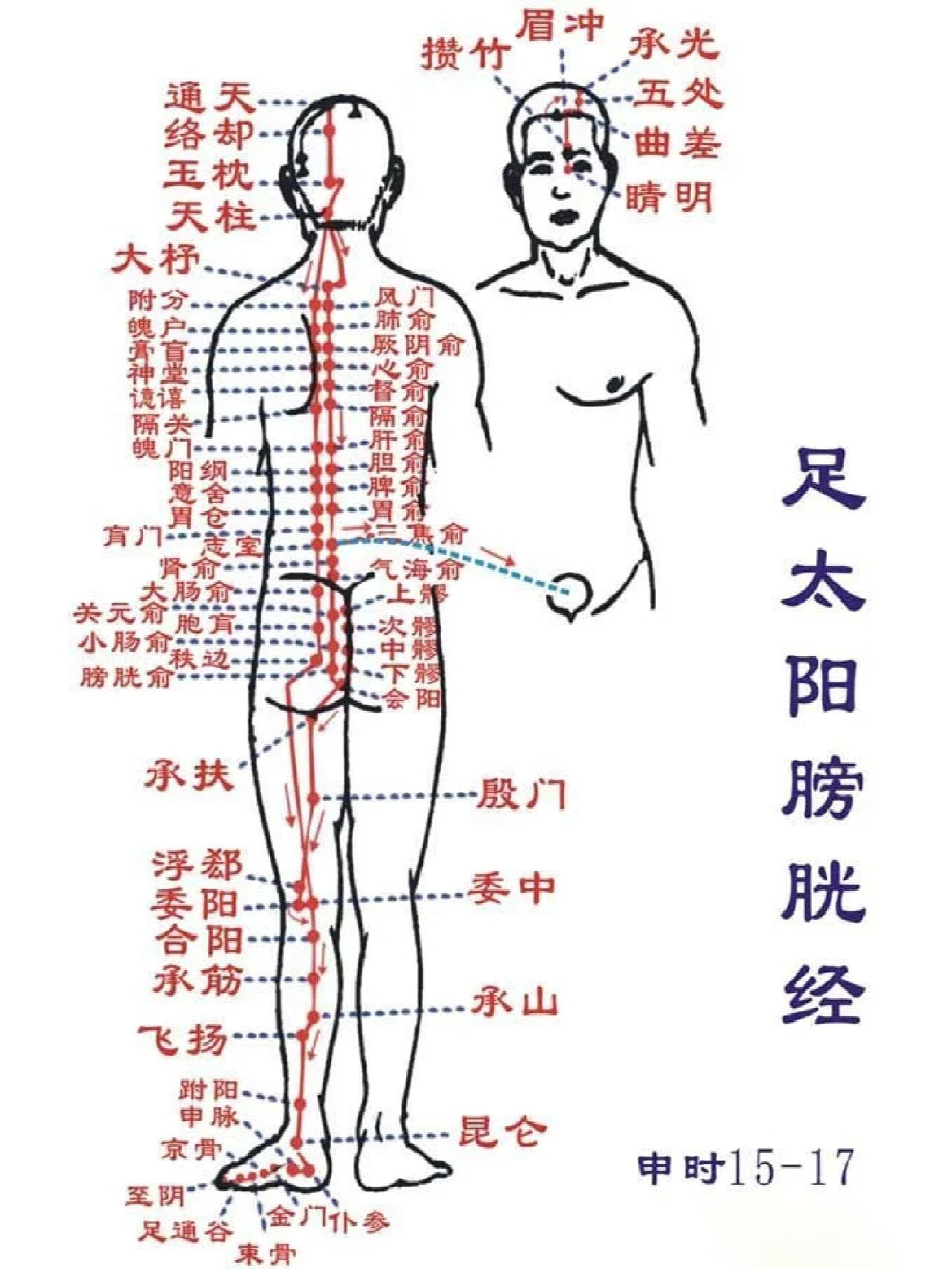 足太阳膀胱经循行图解图片