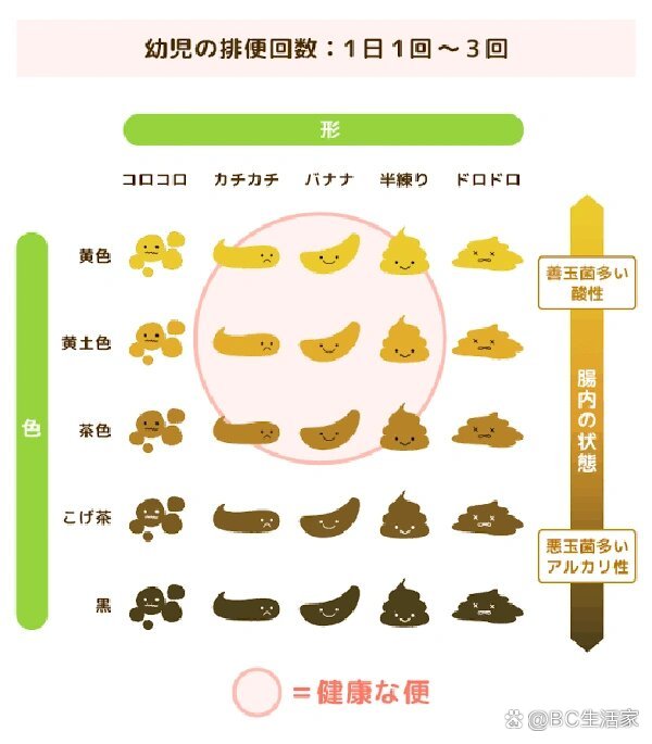 教你如何辨别健康的大便❗️❗️新手妈妈看过来