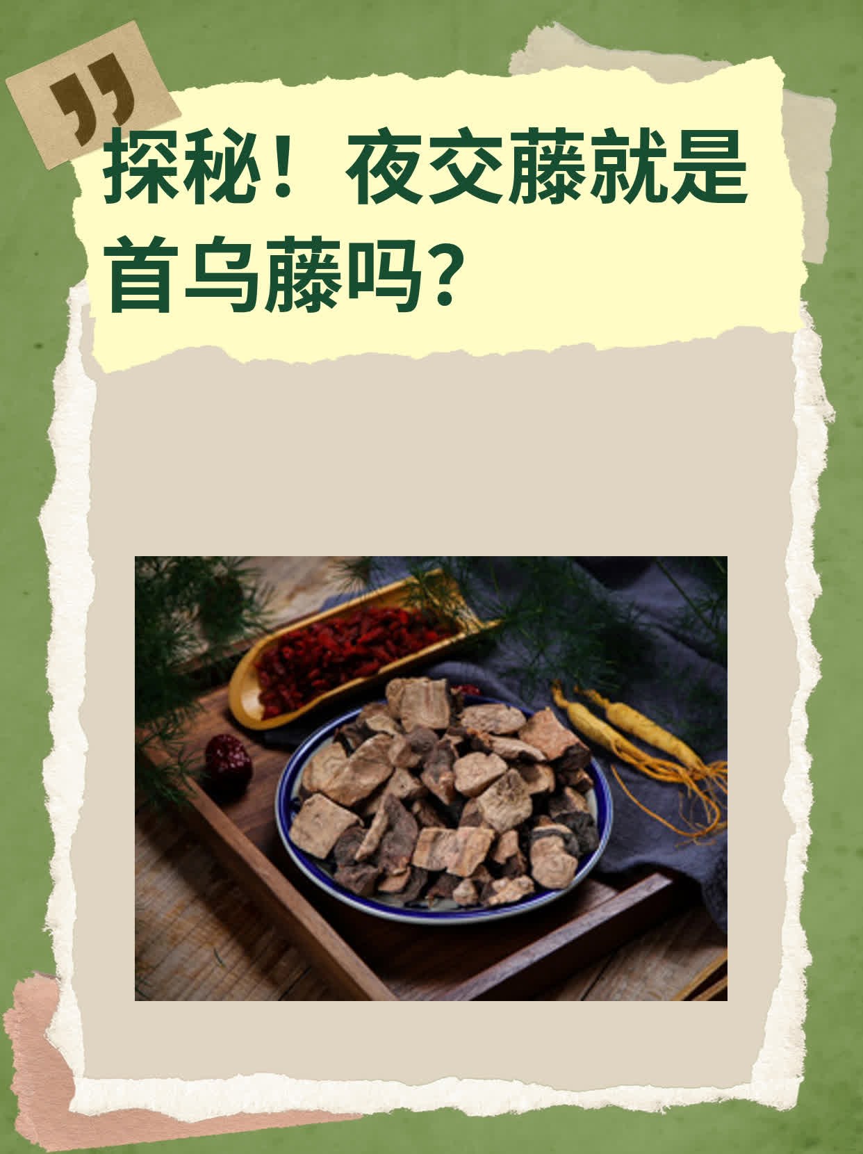 夜交藤和首乌藤是同一种植物的不同部位,它们都来源于何首乌这一中
