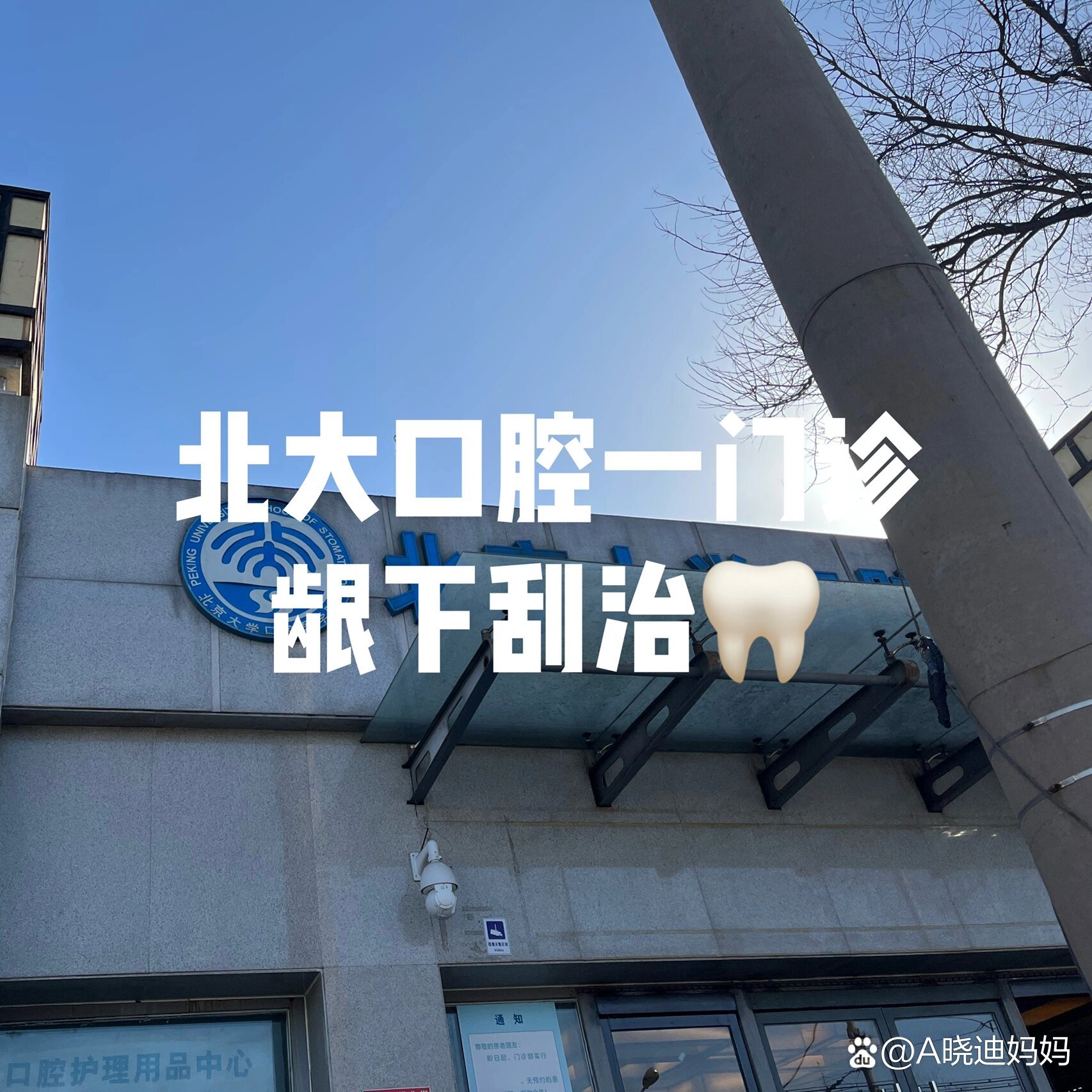 北大口腔医院、石景山区跑腿挂号 北大口腔医院、石景山区跑腿挂号