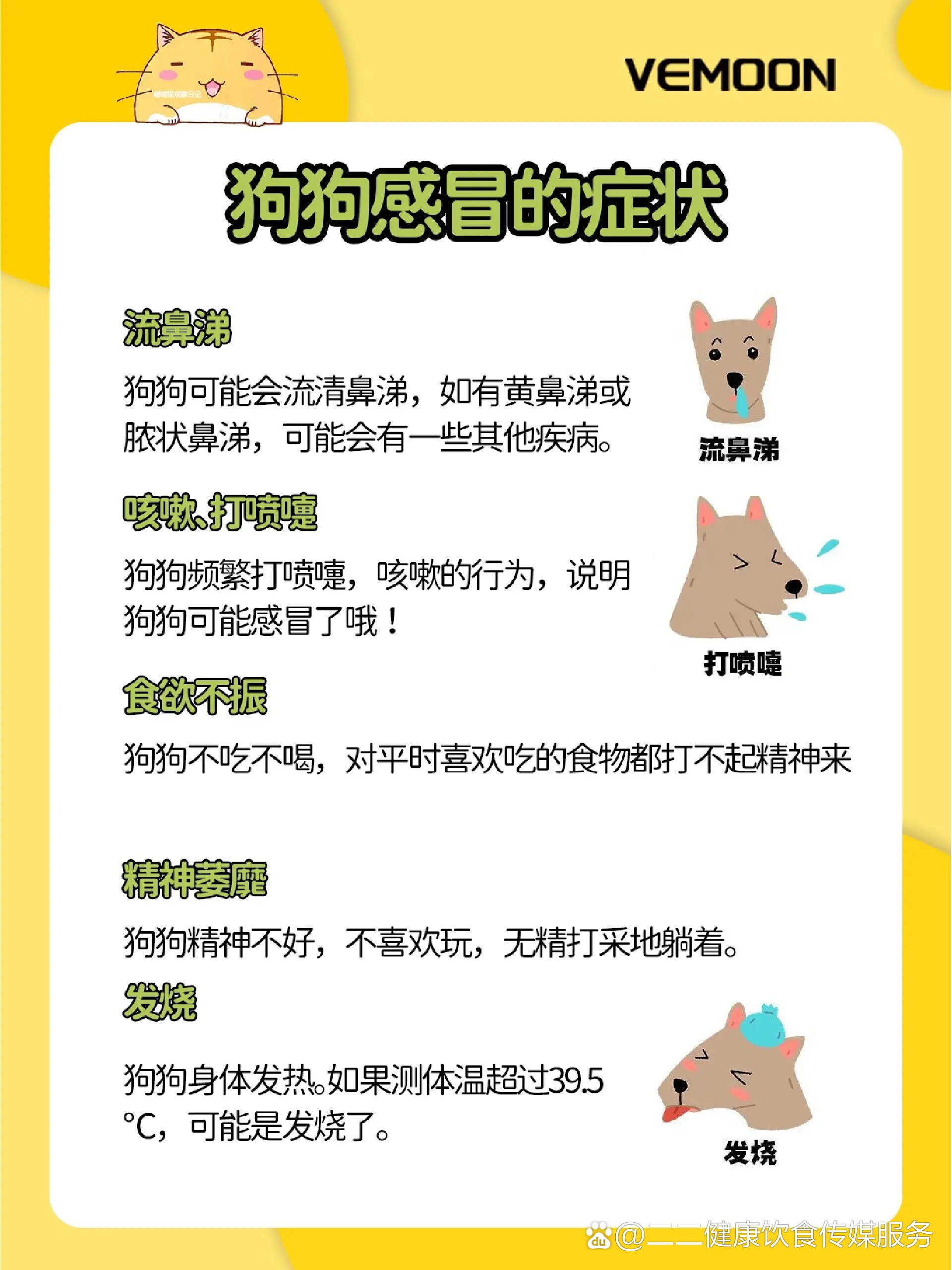 狗狗感冒发烧怎么办05自行判断处理