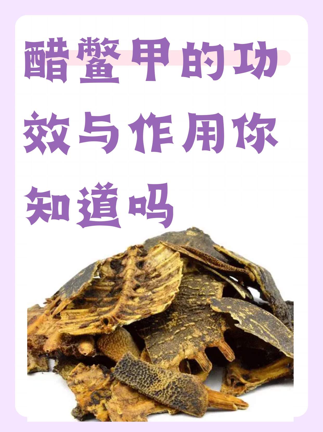 醋鳖甲的功效与作用你知道吗