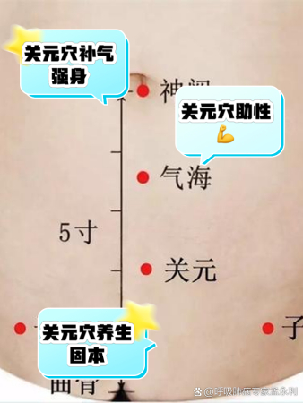 关元准确位置图作用功效