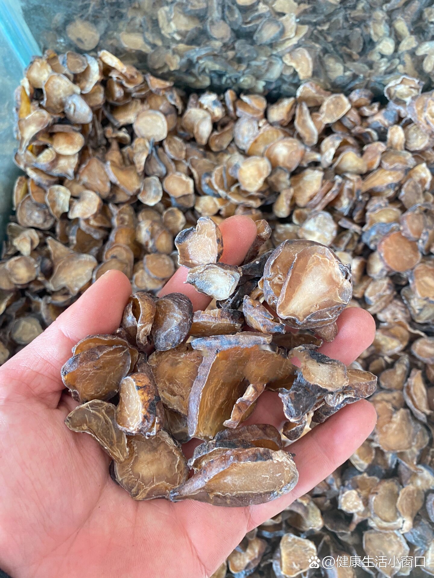  p>每天识一味药——黑顺片 br>中药黑顺片又叫做黑附片,是中医一味