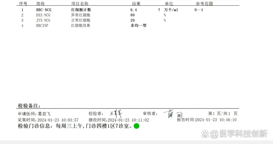 尿沉渣红细胞计数图片