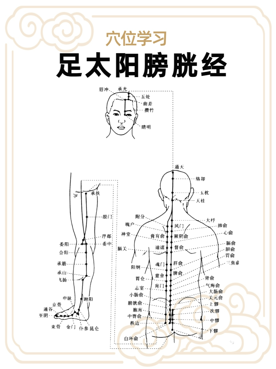 膀胱经经络图及走向图片