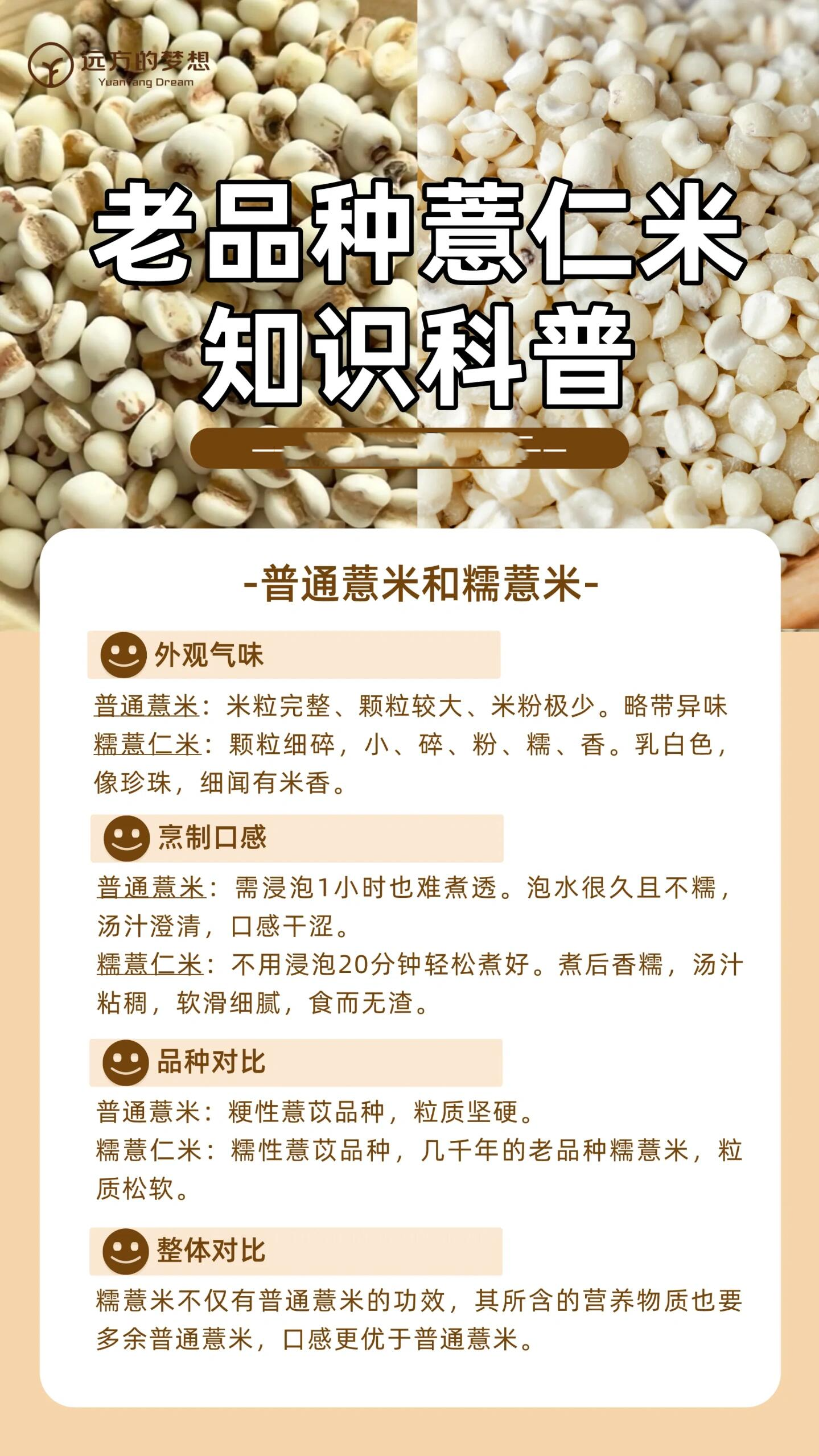老品种薏仁米和普通的区别