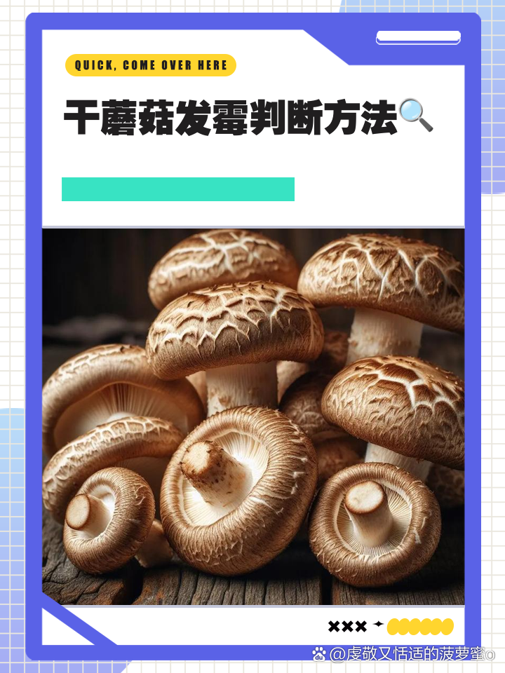 无聊到发霉的蘑菇 干蘑菇发霉判断方法🔍