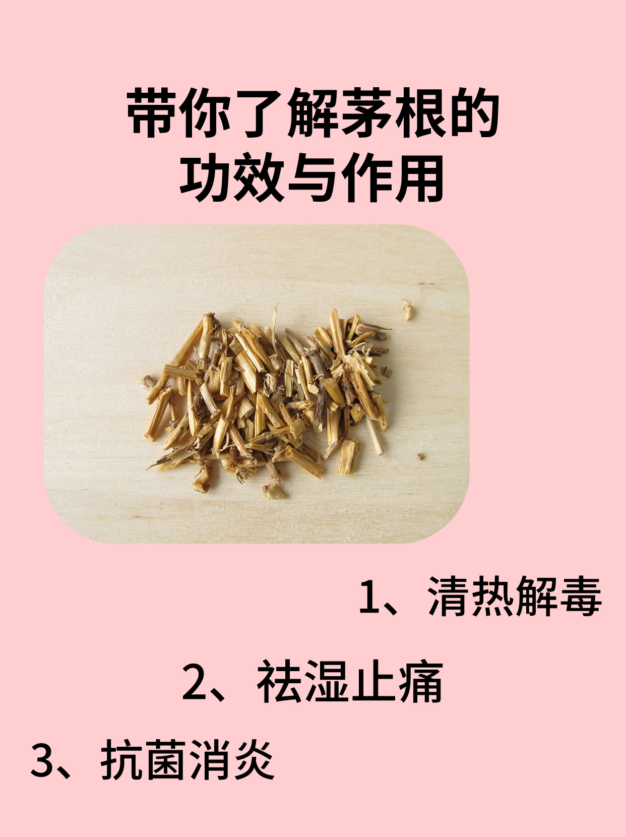 茅根草禁忌图片