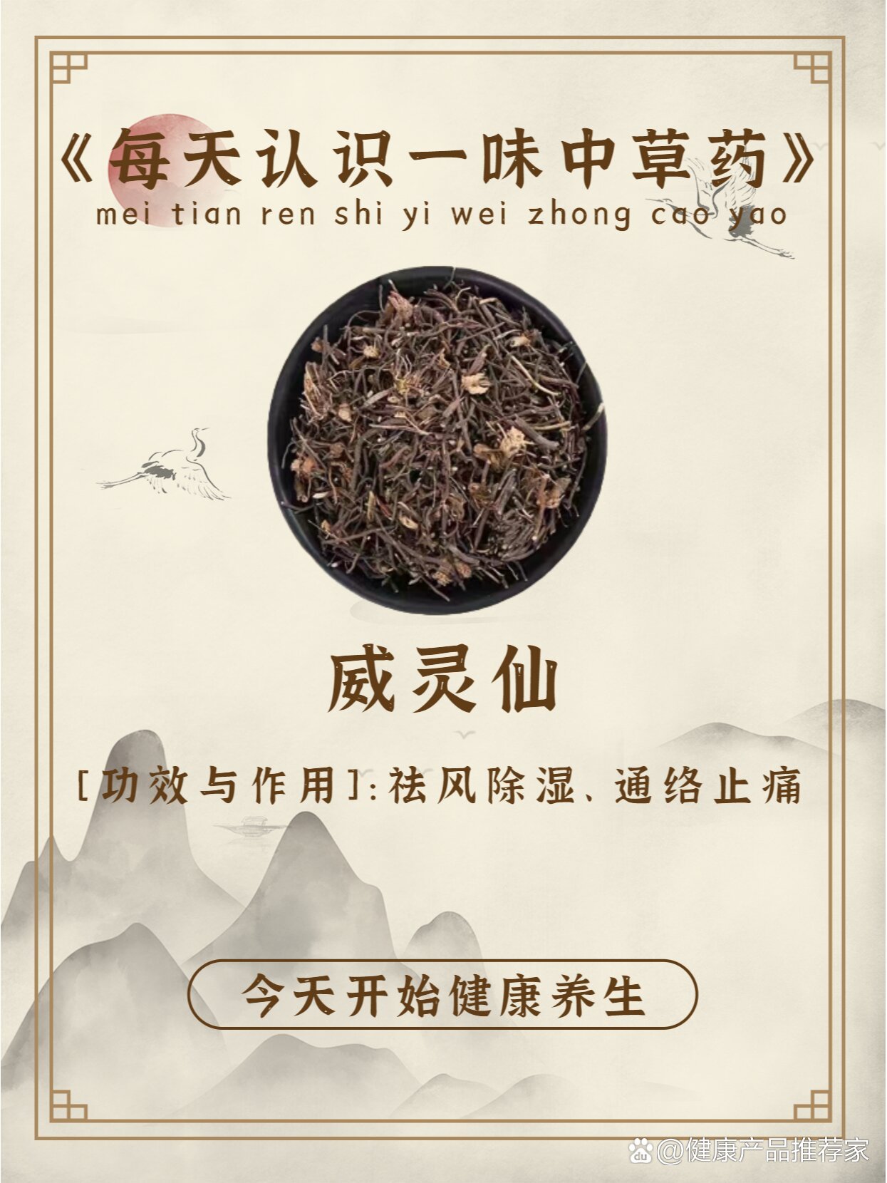 威灵仙 中药图片