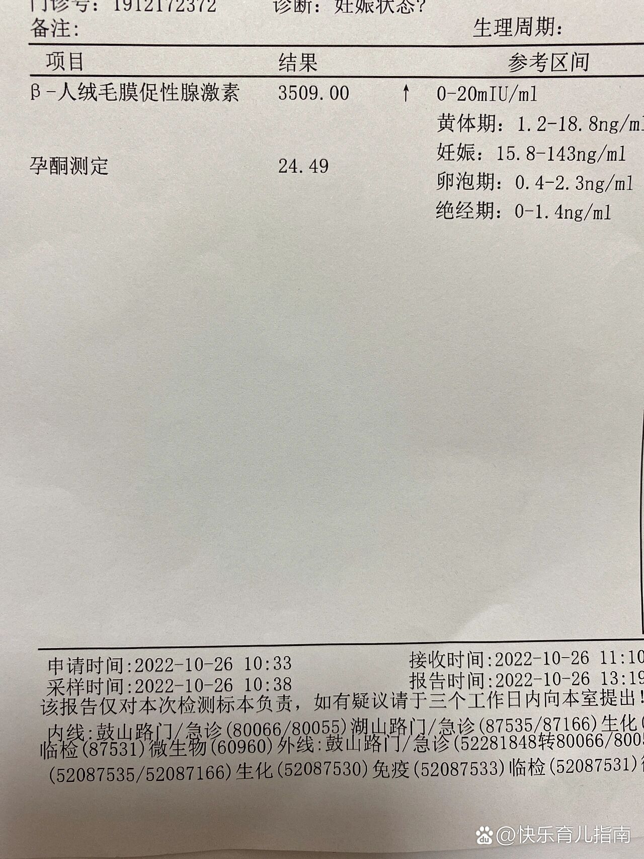 刚怀孕的验血单子图片图片