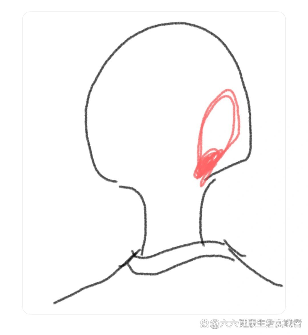 后脑勺一抽一抽的疼
