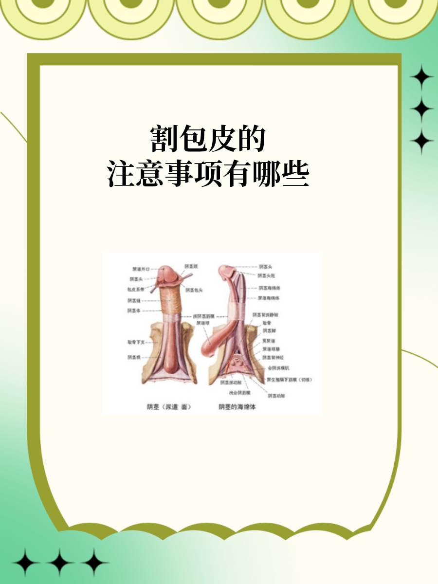 割了皮包恢复图片图片