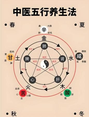 🌾五行五谷养五脏，健康秘诀大公开！
