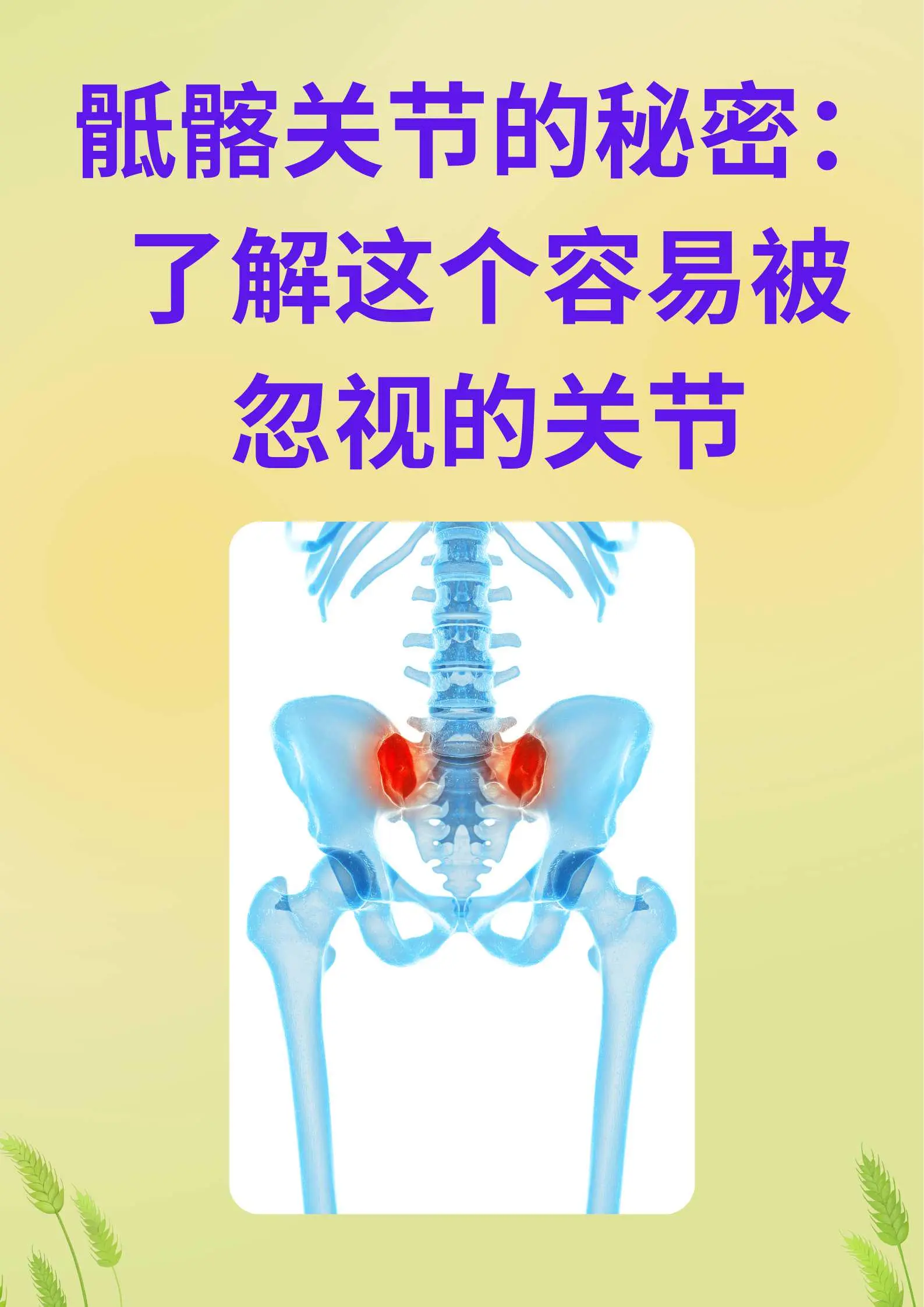 骶髂关节位置 真人图片