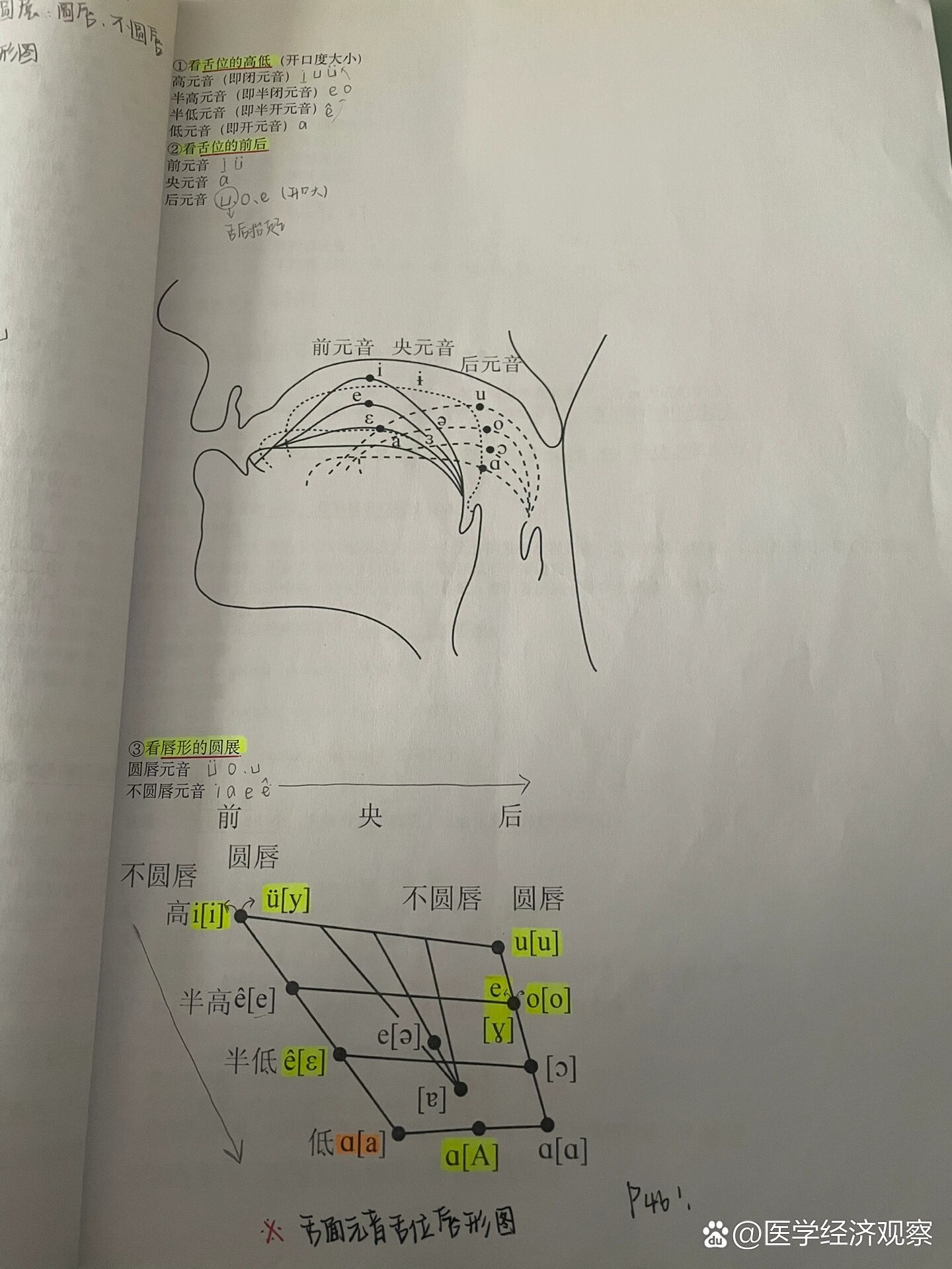舌面元音舌位唇形图