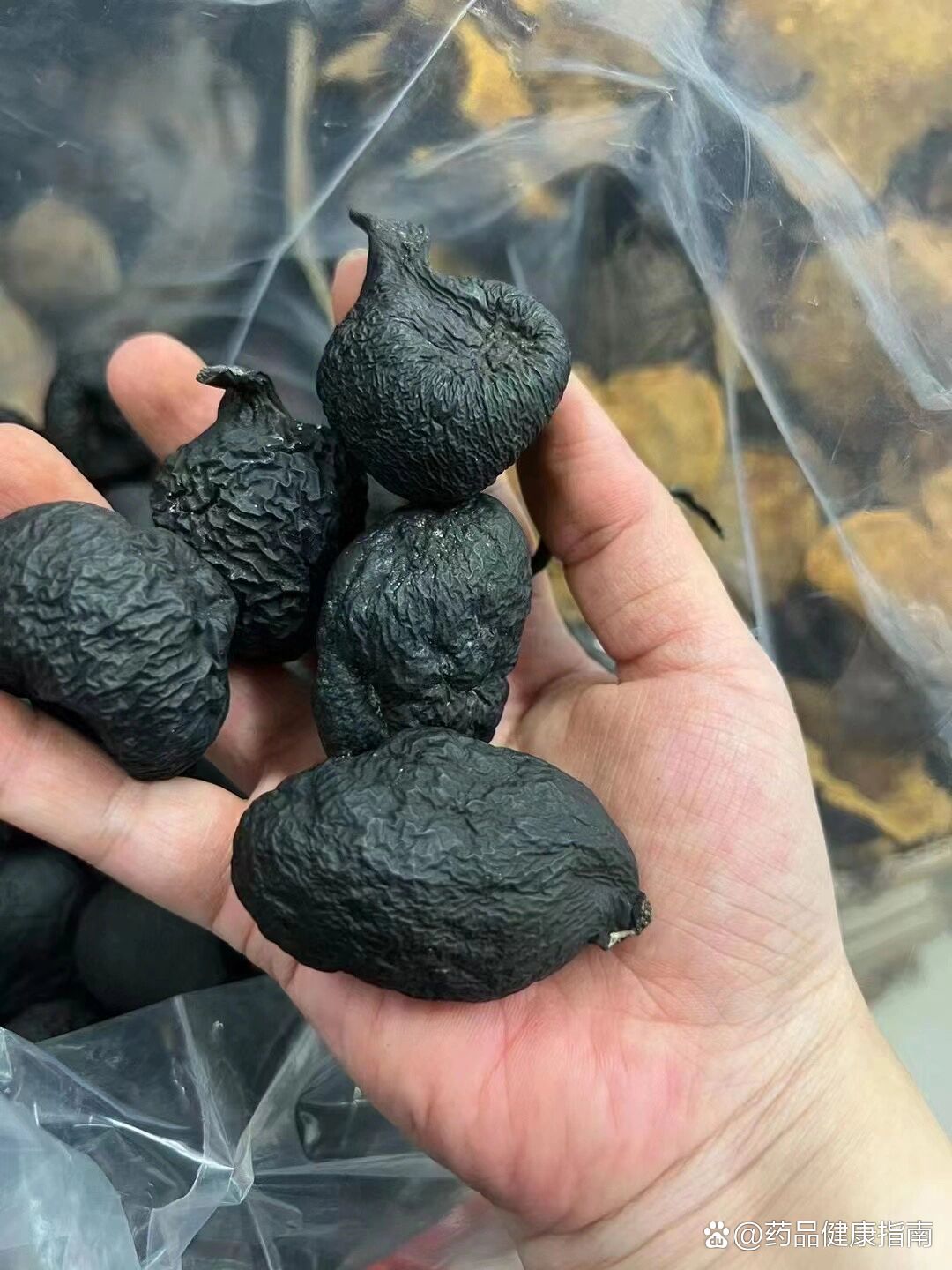 增强可生命力…仙参…超越虫草的功效…而且价格美丽…比虫草都稀少