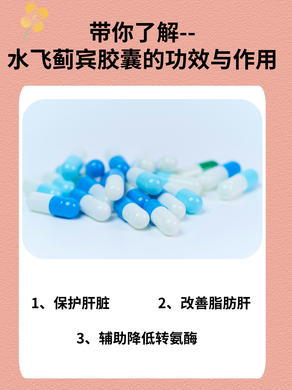 带你了解--水飞蓟宾胶囊的功效与作用