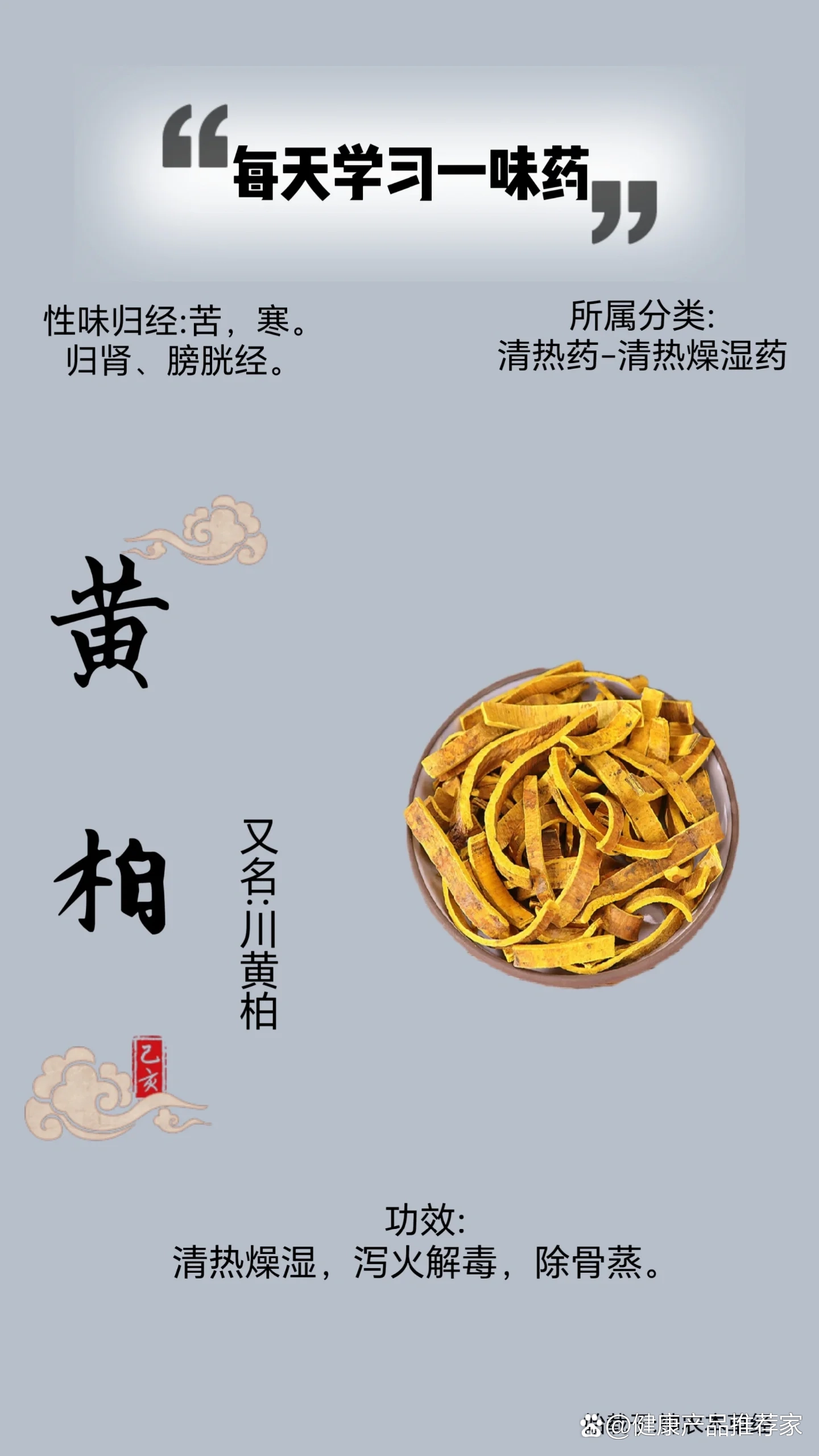 黄柏的功效与作用树芽图片