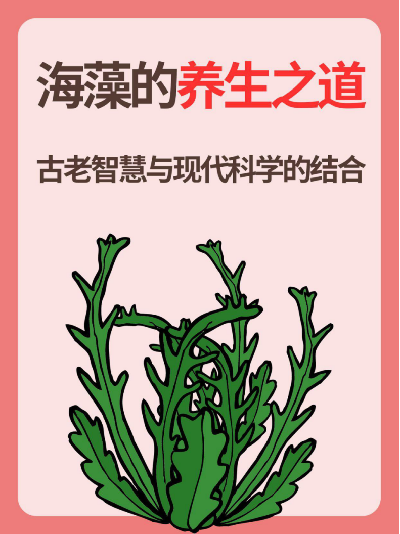 海藻的养生之道:古老智慧与现代科学的结合!