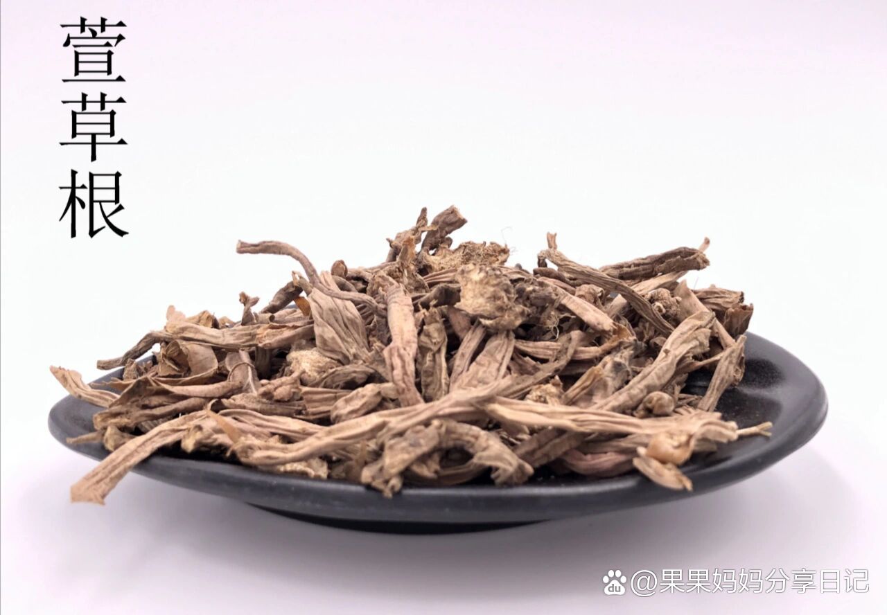  p>药性赋--萱草根 br>萱草根治五淋而消乳肿 b