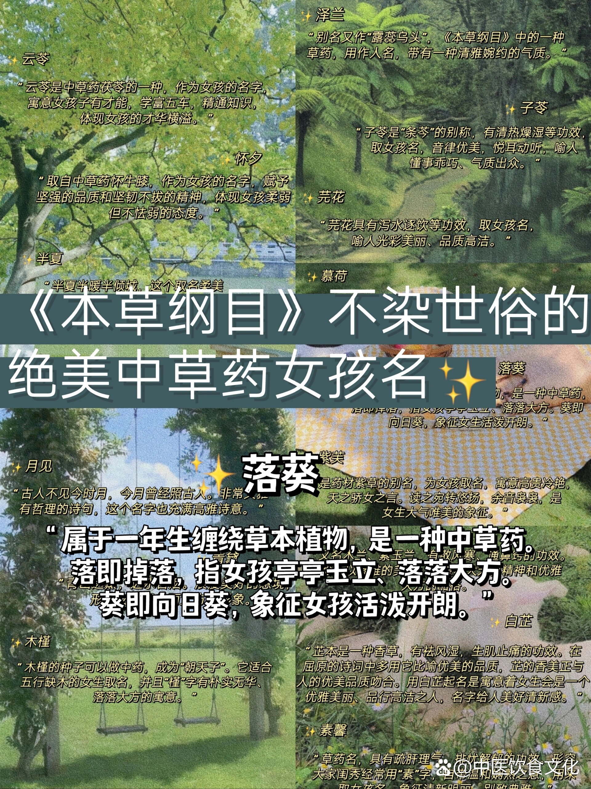  br>长卿羽涅辛夷青黛半夏剪秋沉香 br>荆芥枳实天冬木香丹砂方海空青