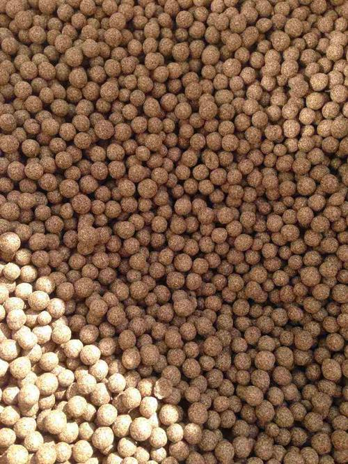 中药丸剂制作方法详解：塑制法与泛制法