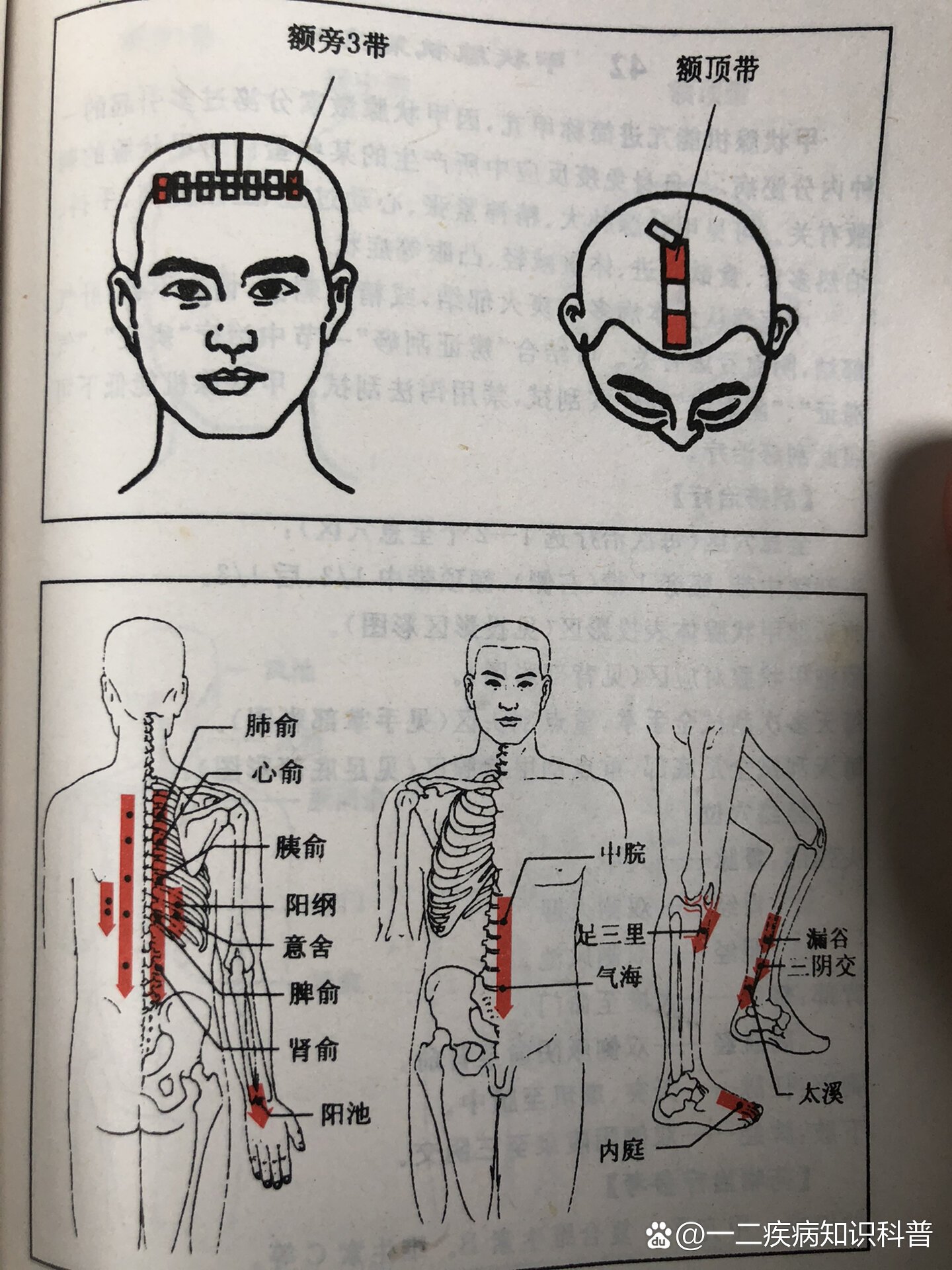 全息经络刮痧保健方法【糖尿病】