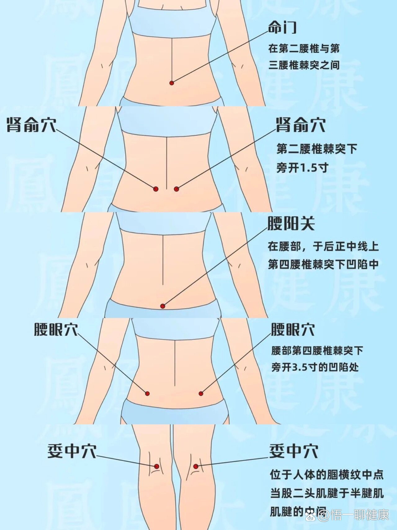 腰的准确位置示意图图片