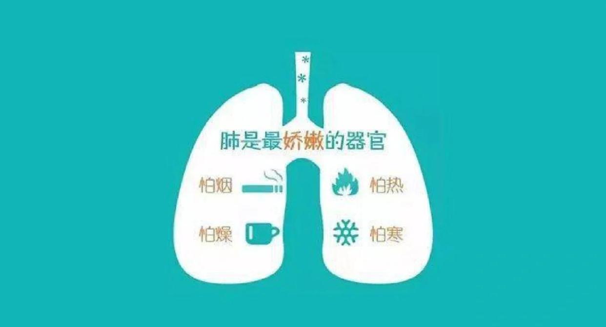 🌿补气养肺，健康秘诀🌸