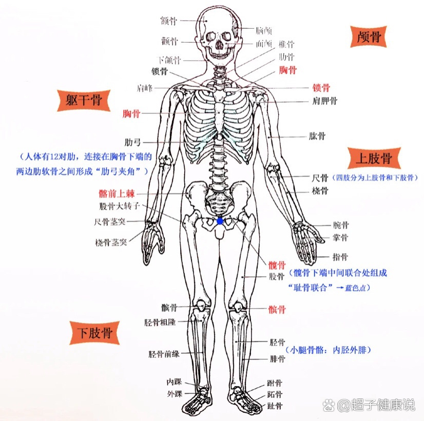 儿童除外   br 2