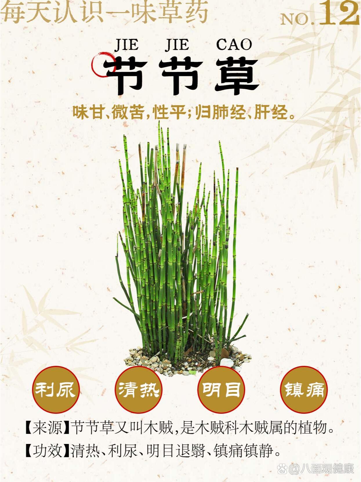 然而,它不仅是童年的回忆,更有着诸多功效