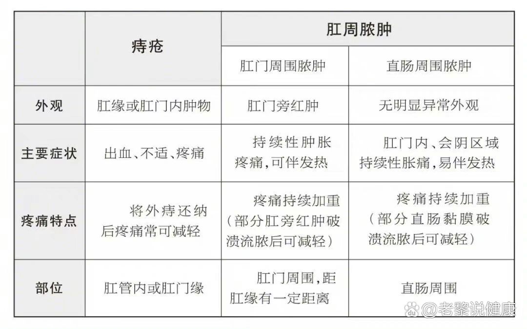 正常肛门和痔疮区别图图片