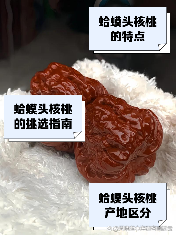 遊ぶ胡桃　文玩核桃　蛤蟆头052 遊ぶ胡桃 文玩核桃 蛤蟆头052 - メルカリ