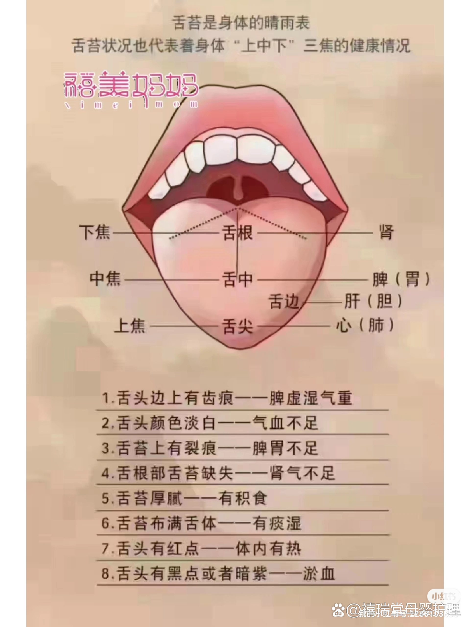 人的舌头有几种形状图图片