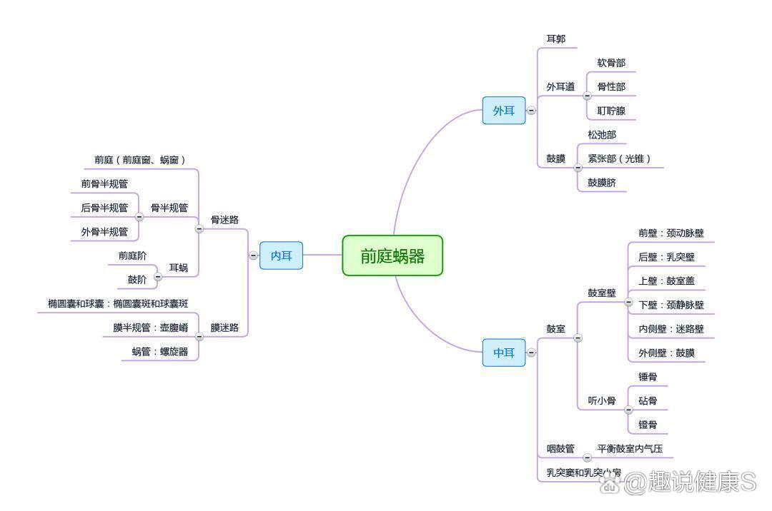 泌尿系统思维导图大全 br 9797人体解剖学知识重点思维导图来啦