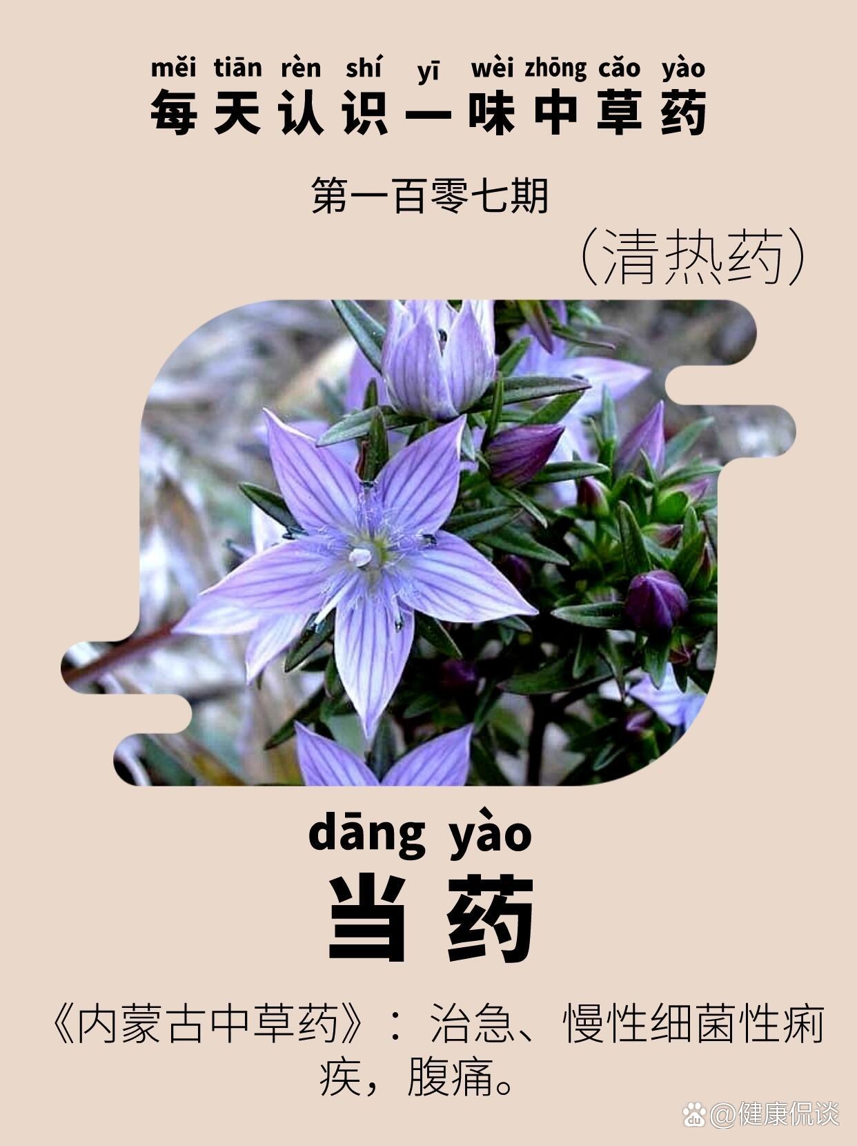 海南四大药材图片