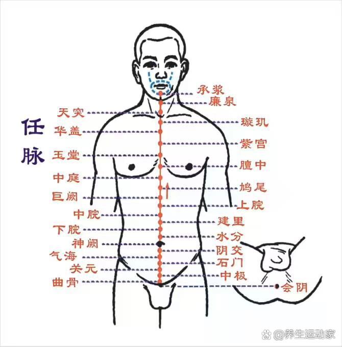 蔽骨是什么图片