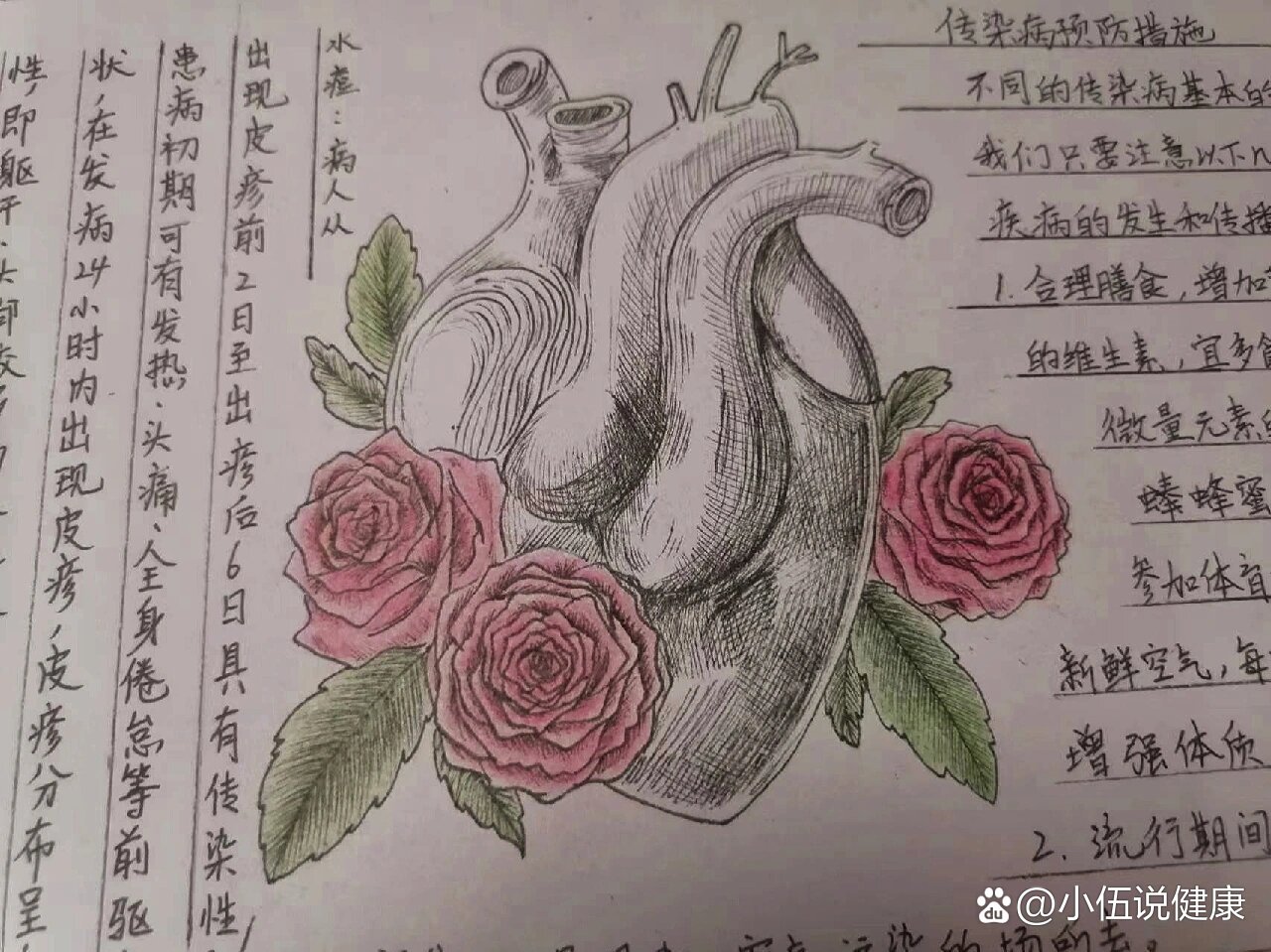 生命健康,预防传染病知识教育手抄报