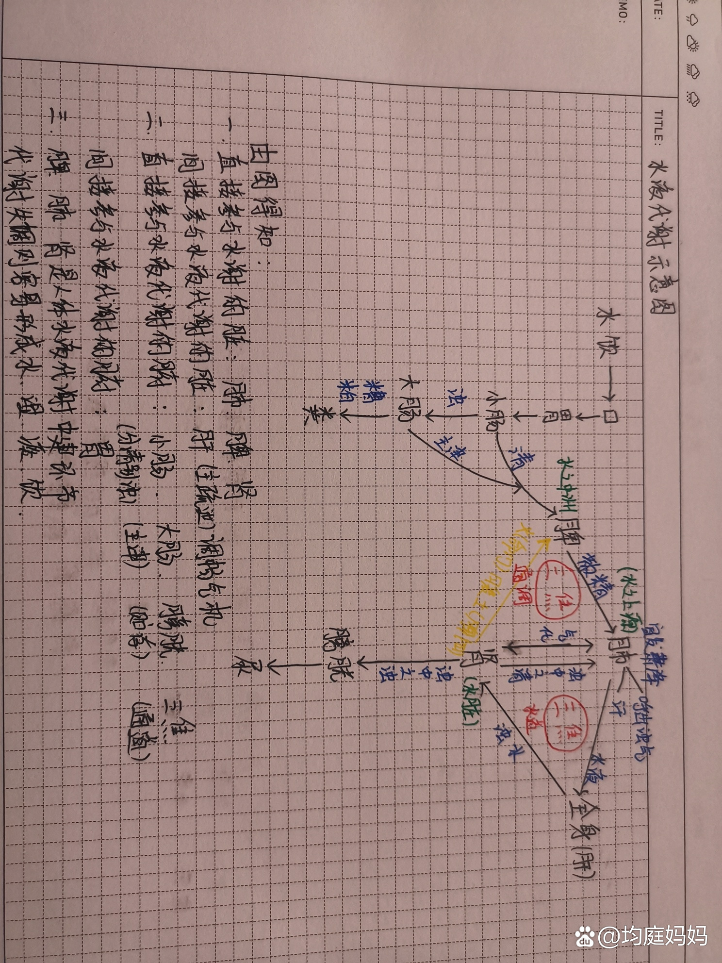 水液代谢示意图图片