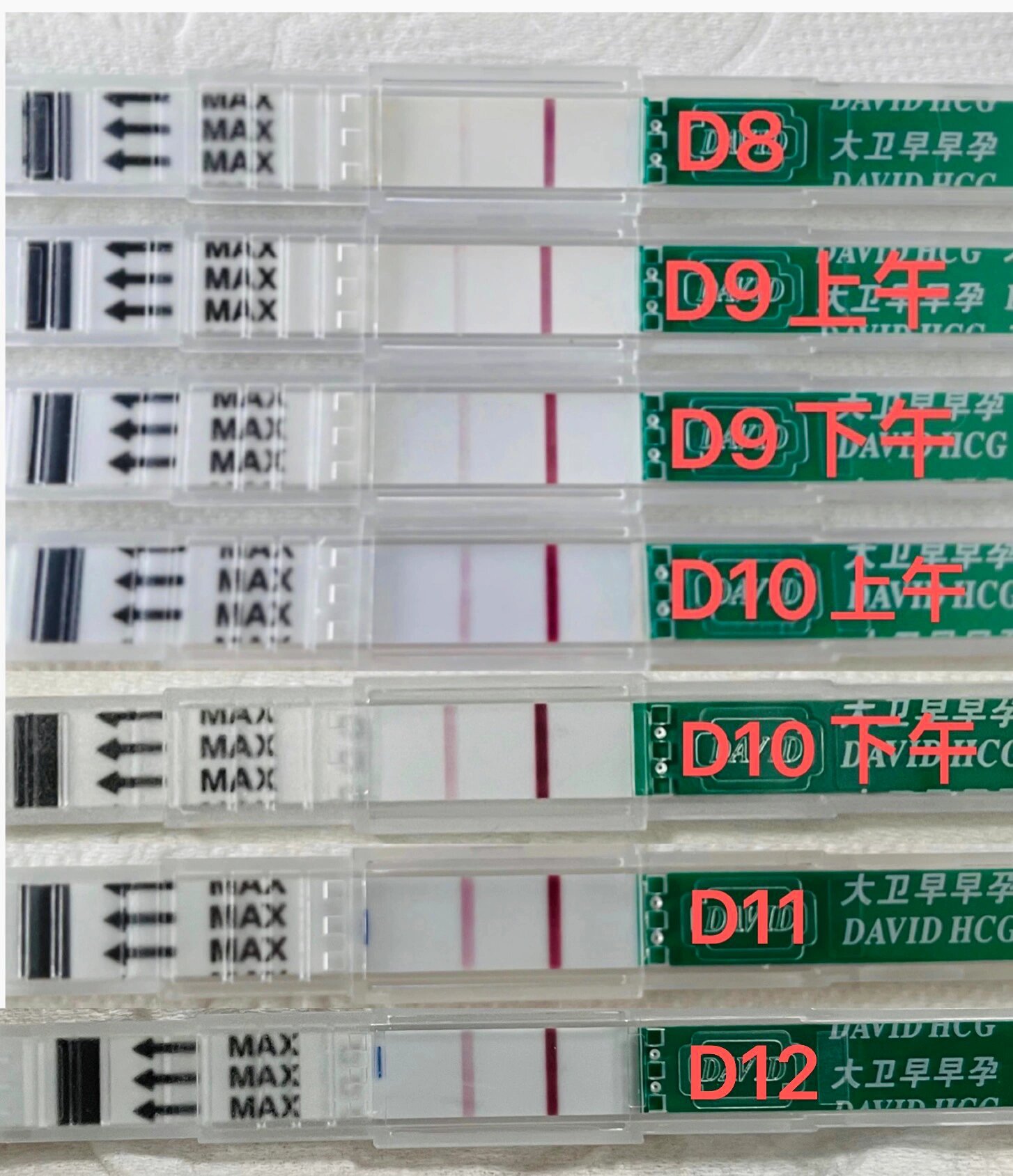 鲜胚移植第12天(鲜胚移植第12天是怀孕几周)