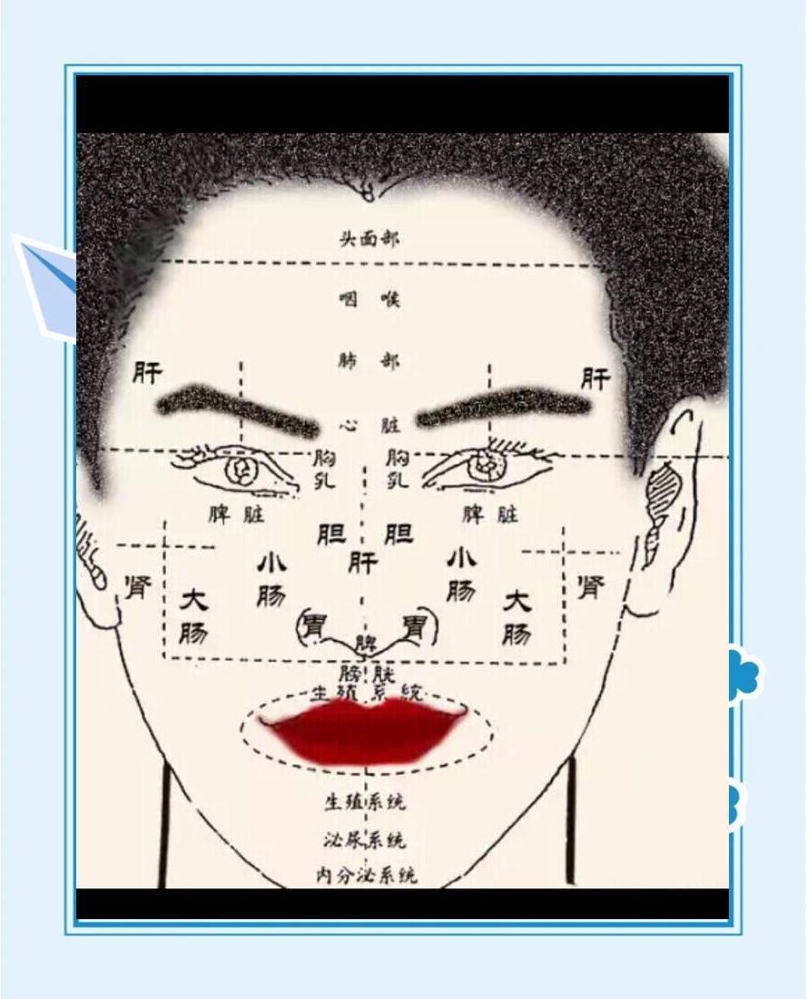十分钟教你学会面诊：从面部看健康