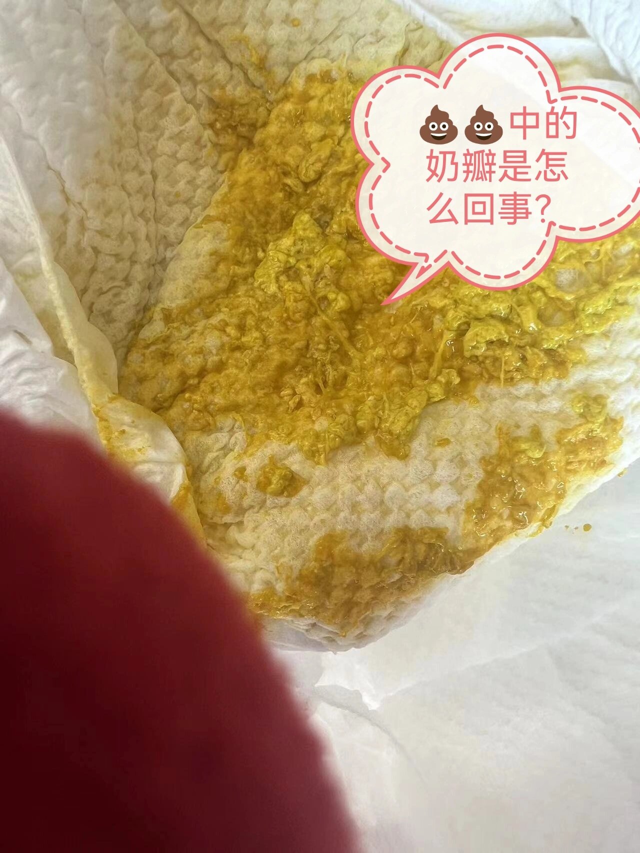 奶瓣 全网资源