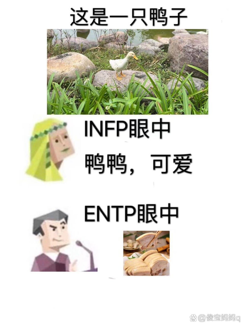 entp表情包图片