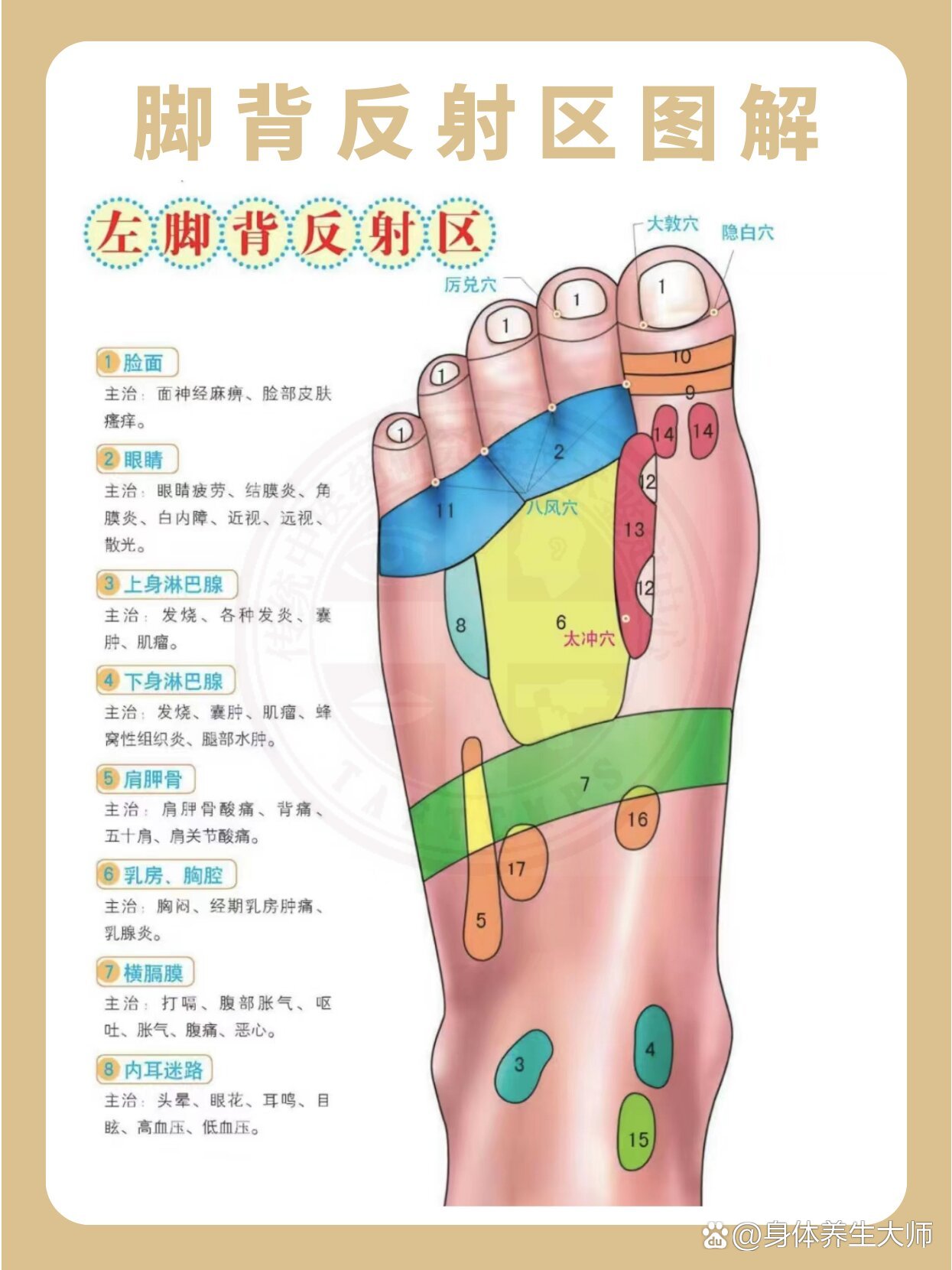 脚上反射区图与疾病图片