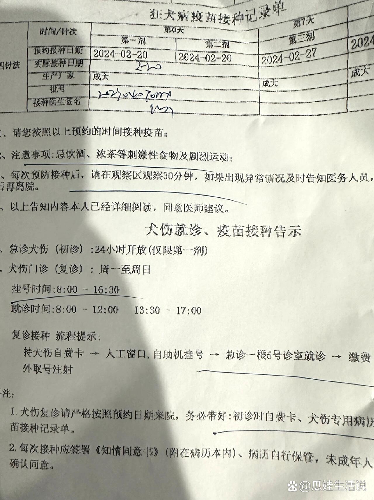 上海闵行狂犬疫苗