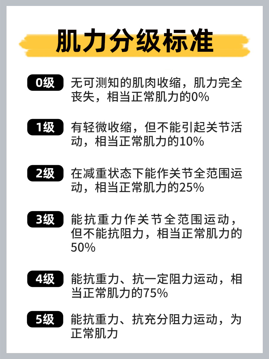 肌力分级:从弱到强的肌肉力量划分